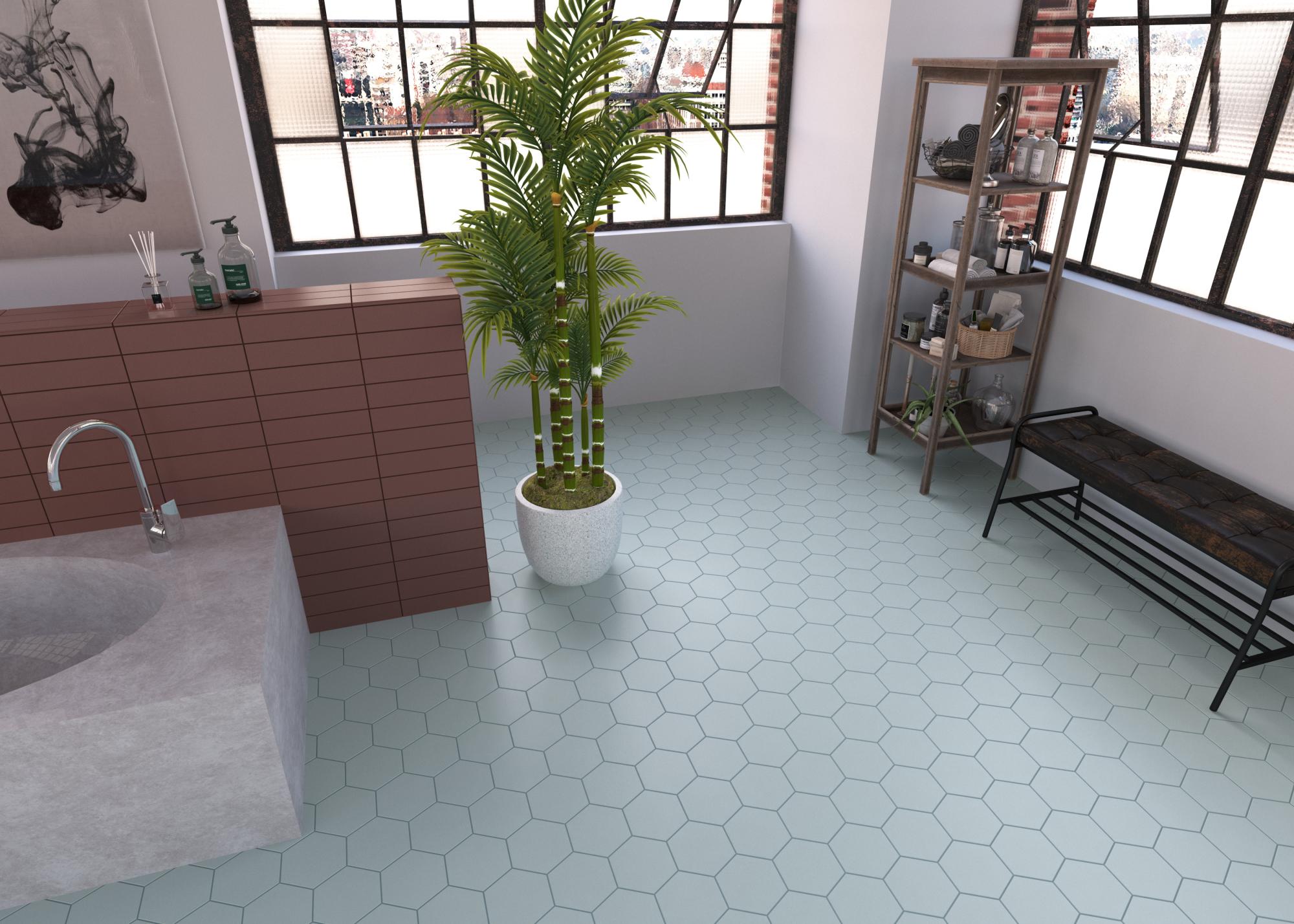 Eve Hex Bathroom